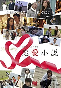 スペシャルドラマ 恋愛小説 [DVD](中古品)