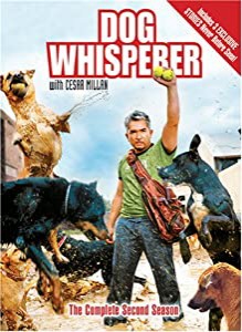 Dog Whisperer With Cesar Millan: Comp Second [DVD](中古品)