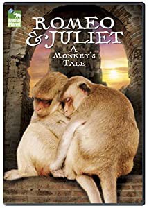 Romeo & Juliet: A Monkey's Tale [DVD](中古品)