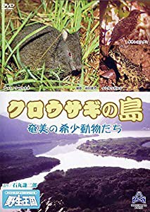 クロウサギの島 奄美の希少動物たち 《DVDネイチャーシリーズ 野生の王国》 [DVD](中古品)