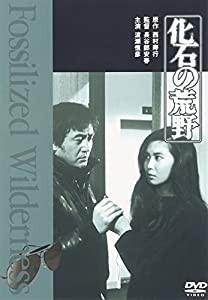 化石の荒野 [DVD](中古品)