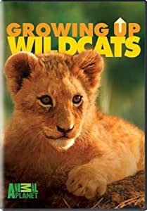 Growing Up Wild Cats [DVD](中古品)