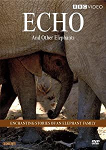 Echo & Other Elephants [DVD](中古品)