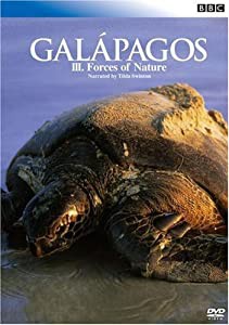 BBC ガラパゴス III.大自然の偉大な力 [DVD](中古品)