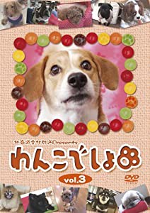 『わんこでしょ』DVD vol.3(中古品)