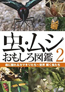 虫・ムシ おもしろ図鑑 2 森に隠れるカマキリたち~世界 輝く虫たち [DVD](中古品)