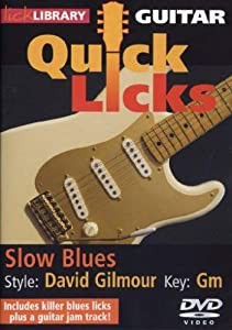 Guitar Quick Licks: David Gilmour Style Slow Blues [DVD](中古品)