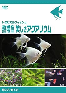 熱帯魚 美しきアクアリウム 飼い方・育て方 [DVD](中古品)