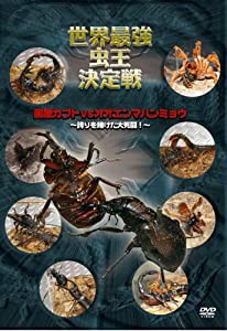 世界最強虫王決定戦 国産カブトvsオオエンマハンミョウ~誇りを賭けた大死闘!~ [DVD](中古品)