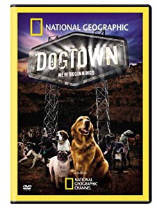 Dogtown: New Beginnings [DVD](中古品)