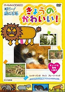 NHKDVD ダーウィンの動物大図鑑 はろ~!あにまる きょうのかわいい! キュートな動物大集合 レッサーパンダ・ラッコ・プレーリード