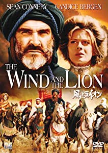 風とライオン [DVD](中古品)