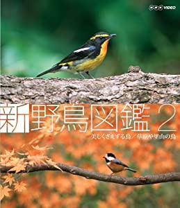 新 野鳥図鑑 第2集 美しくさえずる鳥/草原や里山の鳥 [Blu-ray](中古品)