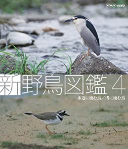 新 野鳥図鑑 第4集 水辺に棲む鳥/渚に棲む鳥 [Blu-ray](中古品)