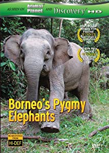 Borneos Pygmy Elephants [DVD](中古品)