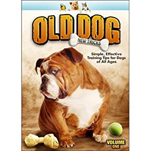 Old Dog New Tricks 1 [DVD](中古品)