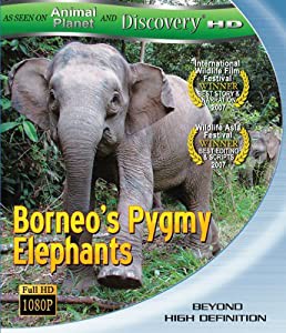 Borneos Pygmy Elephants [Blu-ray](中古品)