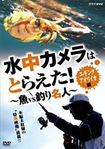 水中カメラはとらえた! 魚VS釣り名人 エギング アオリイカ編 [DVD](中古品)