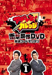 アドレな!ガレッジ 衝撃映像DVD 放送コードギリギリ?@(中古品)