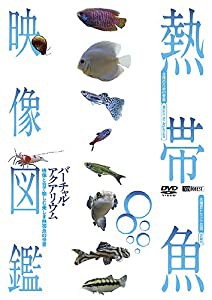 シンフォレストDVD 熱帯魚映像図鑑 バーチャル・アクアリウム 映像と音で愉しむ美しき熱帯魚の世界(中古品)