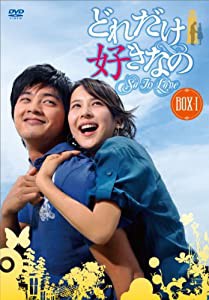 どれだけ好きなのDVD-BOXI(中古品)