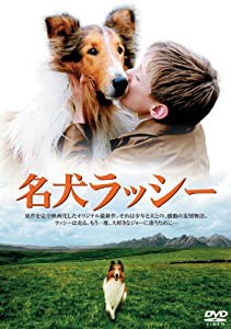 「きな子~見習い警察犬の物語~」公開記念 犬だワンダフルキャンペーン 名犬ラッシー (限定生産) [DVD](中古品)