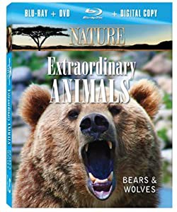 Nature: Extraordinary Animals: Bears & Wolves [Blu-ray](中古品)