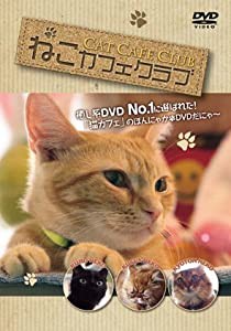 ねこカフェクラブ [DVD](中古品)