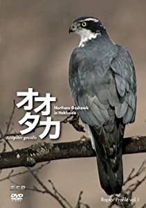 Raptor Profile vol.1 オオタカ Northern Goshawk in Hokkaido [DVD](中古品)