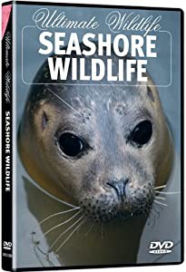 Ultimate Wildlife: Seashore Wildlife [DVD](中古品)