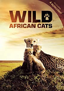 Wild African Cats [DVD](中古品)