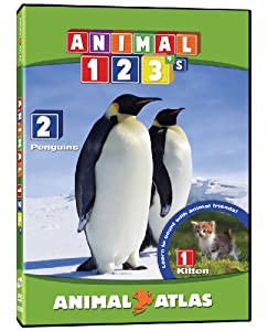 Animal Atlas: Animal 123s [DVD](中古品)