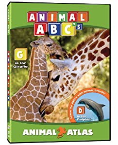 Animals Atlas: Animals Abcs [DVD](中古品)