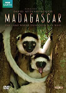 Madagascar [DVD](中古品)