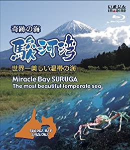 奇跡の海　駿河湾　−世界一美しい温帯の海− [Blu-ray](中古品)