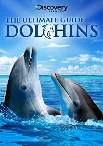 Ultimate Guide: Dolphins [DVD](中古品)