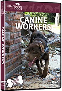 Canine Workers [DVD](中古品)