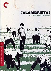 Criterion Collection: Alambrista [DVD] [Import](中古品)