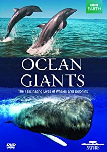 Ocean Giants [DVD](中古品)