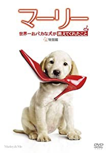マーリー 世界一おバカな犬が教えてくれたこと (特別編) [DVD](中古品)