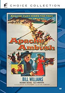 Apache Ambush [DVD](中古品)