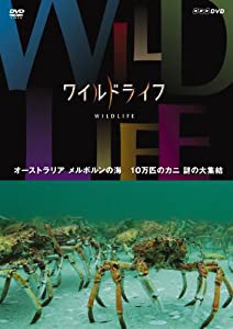 ワイルドライフ オーストラリア メルボルンの海 10万匹のカニ 謎の大集結 [DVD](中古品)