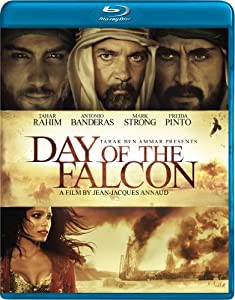 DAY OF THE FALCON(中古品)