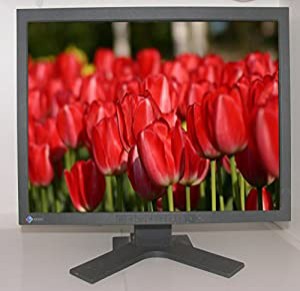 中古　ディスプレイEIZO RadiForce R22 （110620）【21インチ 液晶モニター】(中古品)