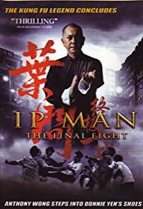 Ip Man Final Fight(中古品)