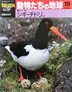 週刊　朝日百科　動物たちの地球　19　●鳥類?T?F　シギ・チドリほか (週刊　朝日百科　動物たちの地球)(中古品)