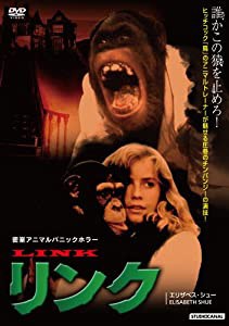 リンク [DVD](中古品)