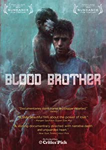 Blood Brother [DVD] [Import](中古品)