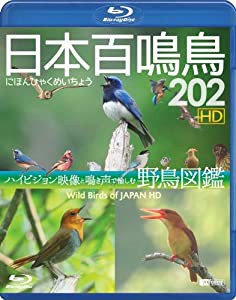 シンフォレストBlu-ray 日本百鳴鳥 202 HD ハイビジョン映像と鳴き声で愉しむ野鳥図鑑(中古品)