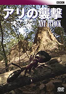 BBC アリの襲撃 [DVD](中古品)